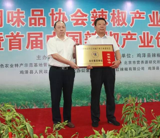 IMG_0275.JPG 91视频在线