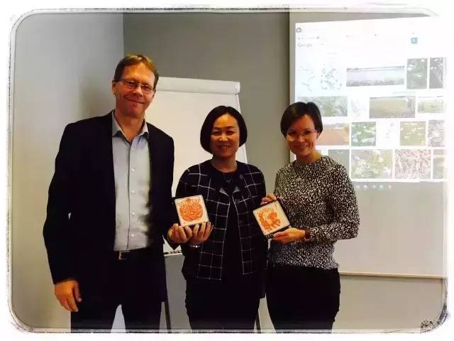 4.webp.jpg 91视频在线