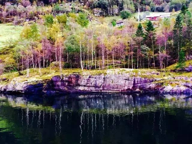 34.webp.jpg 91视频在线