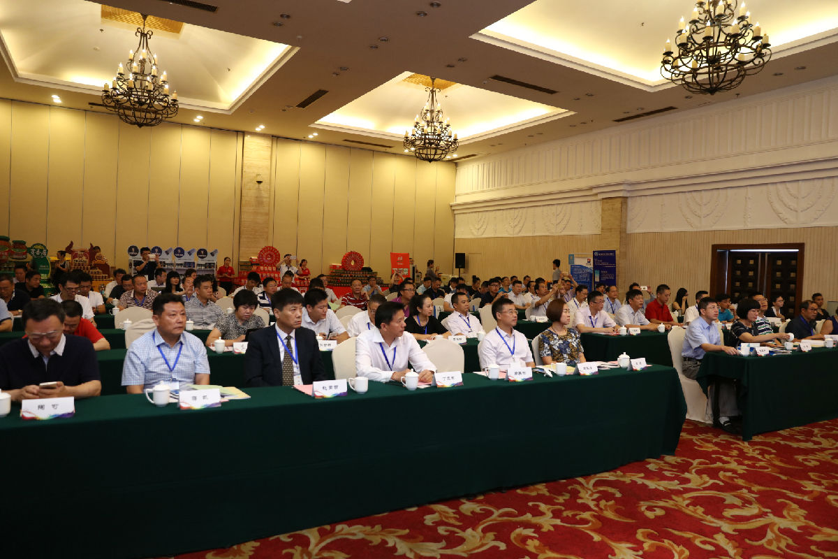 image001.jpg 91视频在线