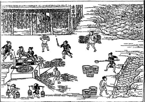 1.jpg 91视频在线