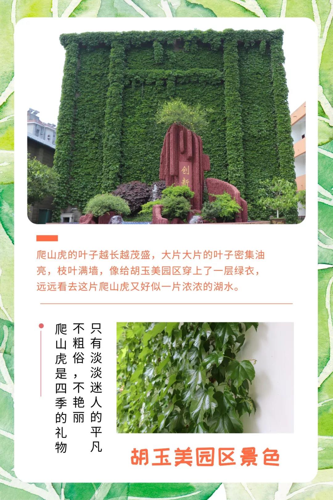 27.jpg 91视频在线