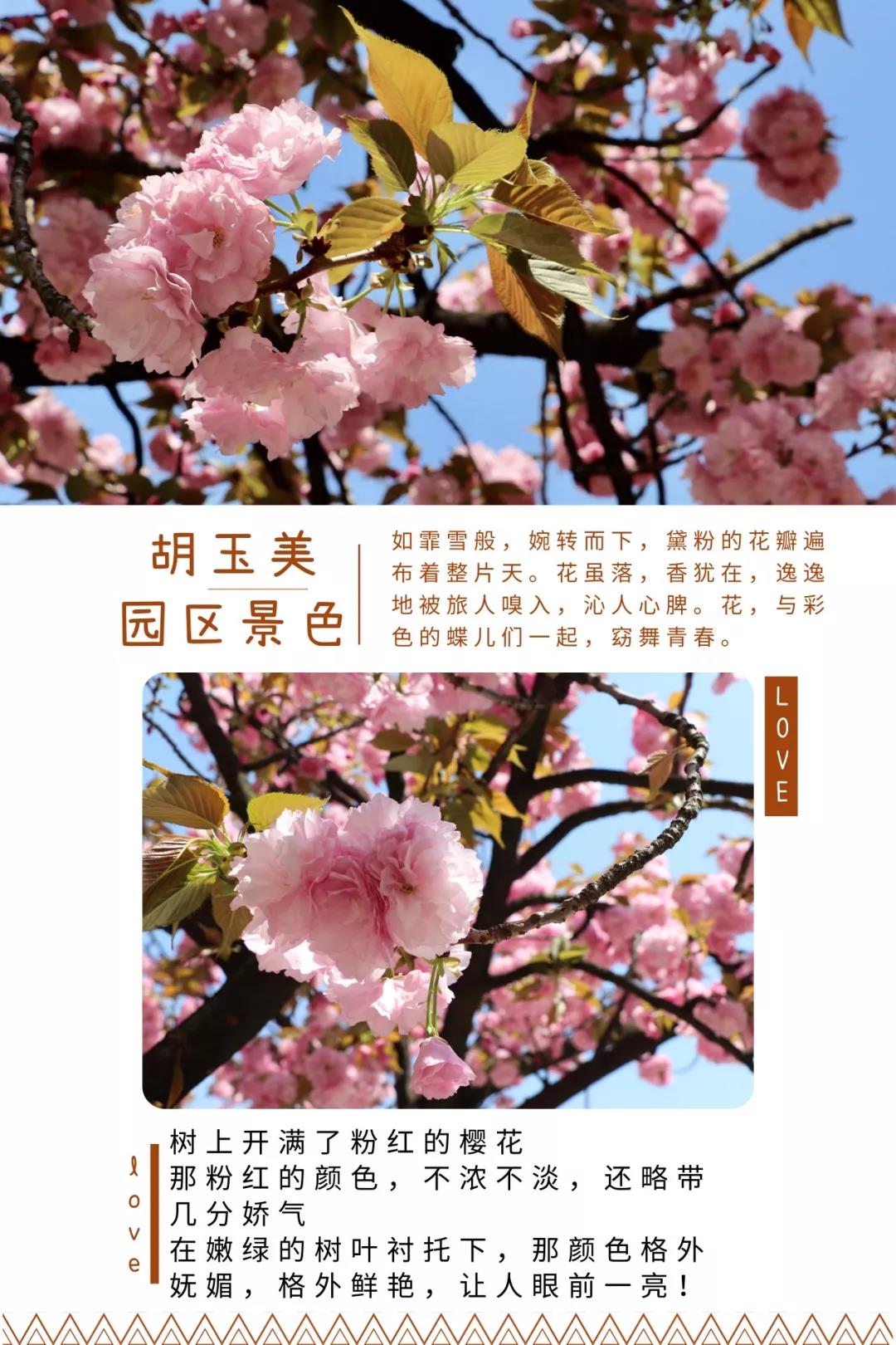 29.jpg 91视频在线