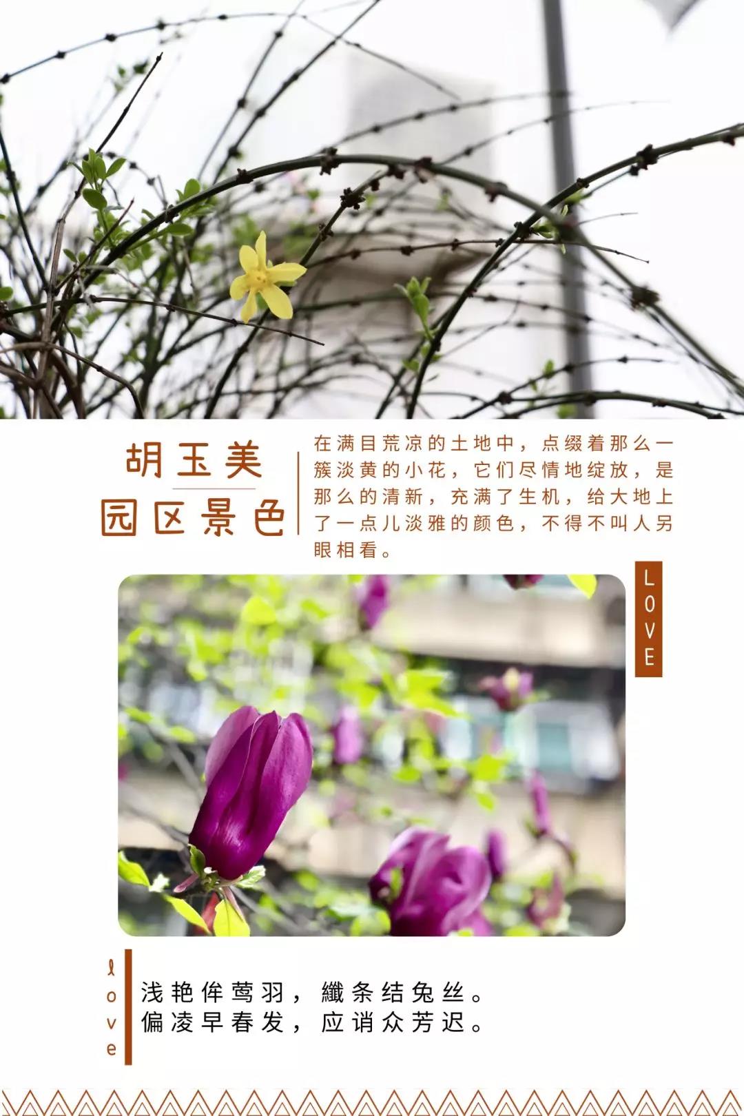 31.jpg 91视频在线