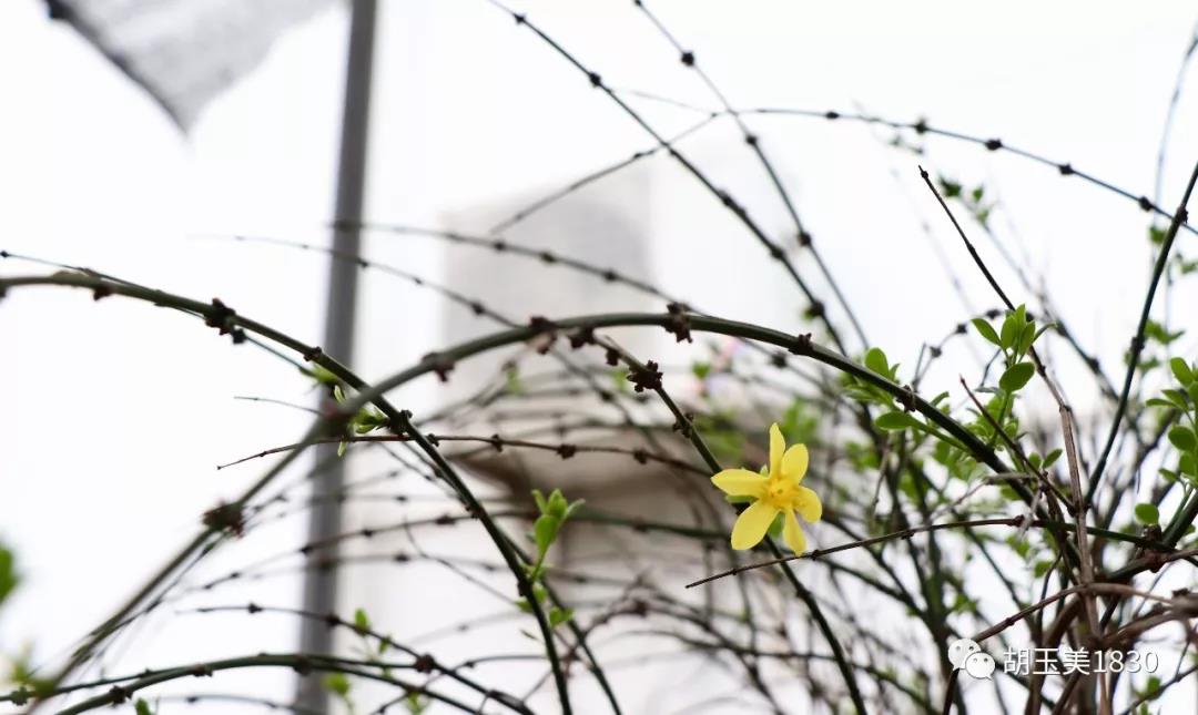 9.jpg 91视频在线