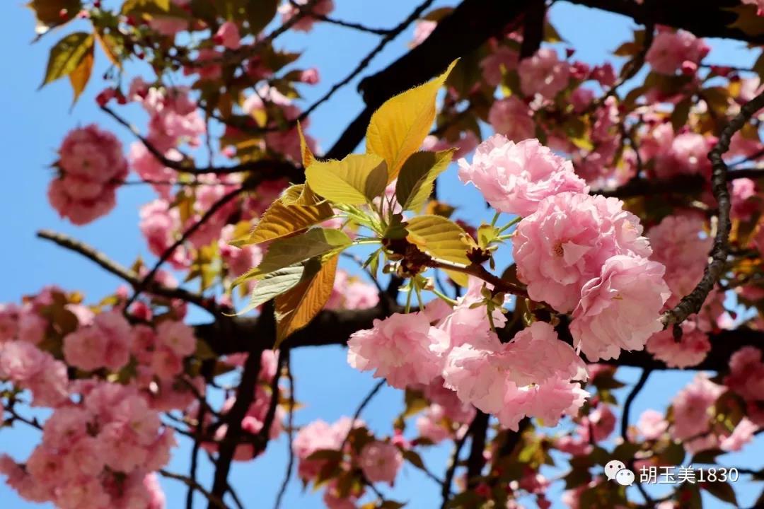 11.jpg 91视频在线