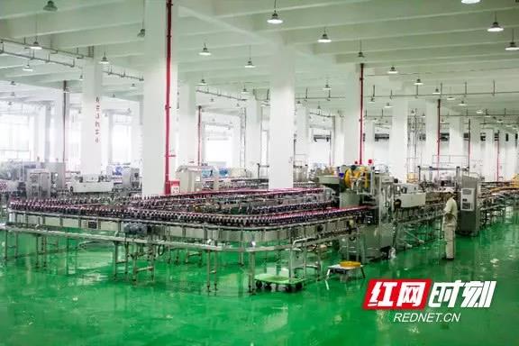 31.jpg 91视频在线