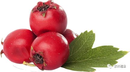 26.jpg 91视频在线