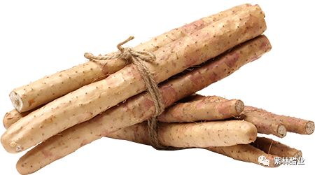 28.jpg 91视频在线