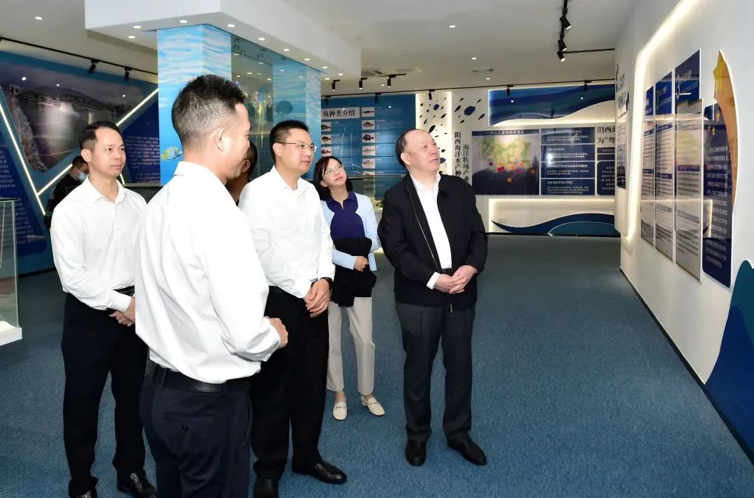 会长2.jpg 91视频在线