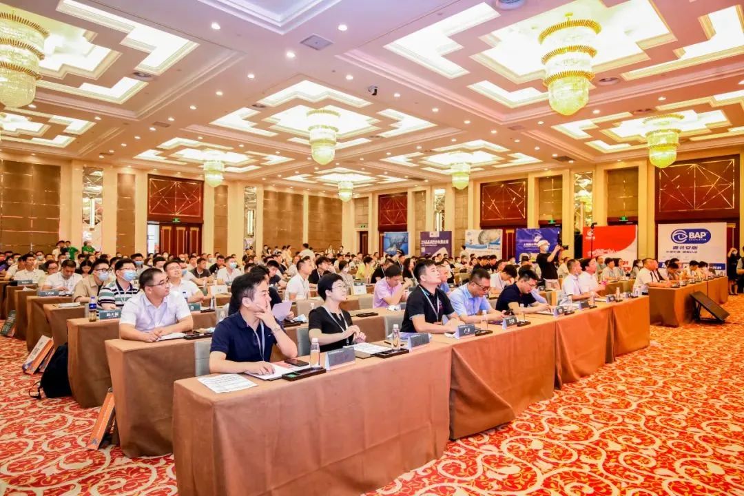 6.jpg 91视频在线